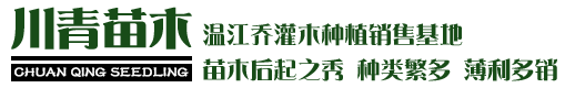 安徽天康儀表